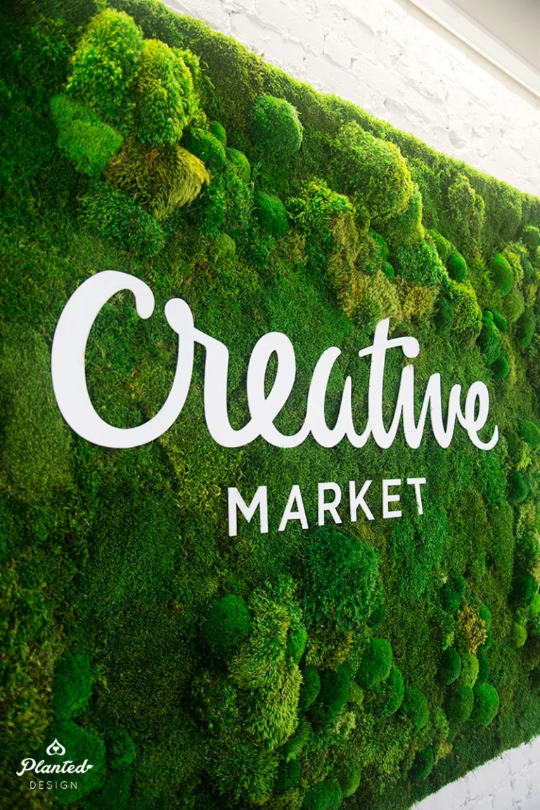 creative market