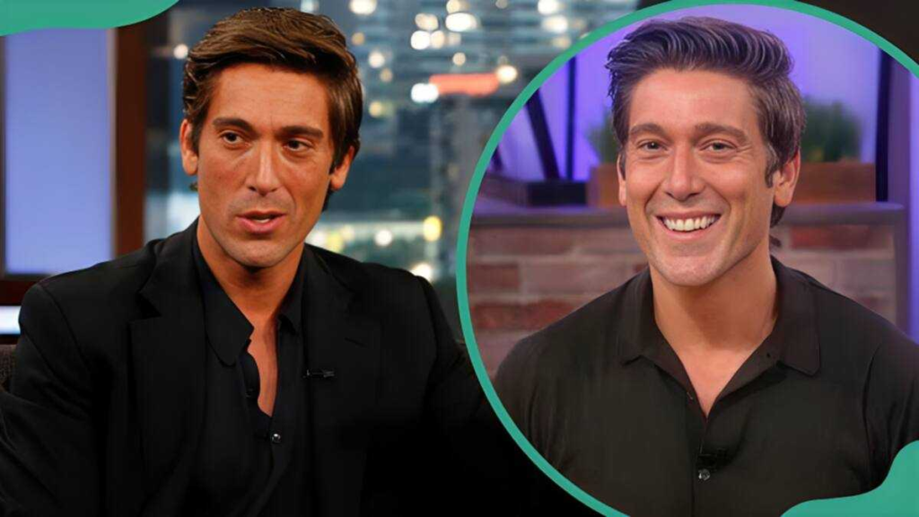 is david muir gay